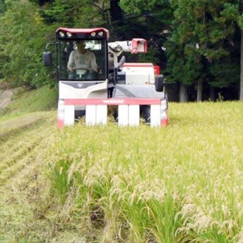  2023年度産 飛騨産 コシヒカリ さとう 特選米 10kg  岐阜県 飛騨高山 美味しい お米 令和5年 送料込 同梱不可 ※北海道1000円、沖縄1200円別途必要