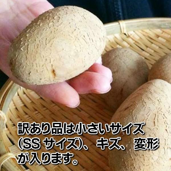 じゃがいも 北海道 富良野産 男爵 Sサイズ 10kg 送料無料 別途送料が発生する地域あり