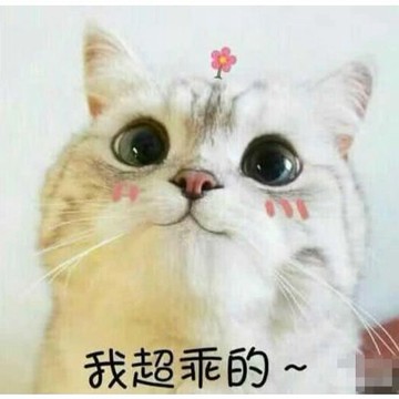 品牌會員4000點兌換-請勿隨意下單❌