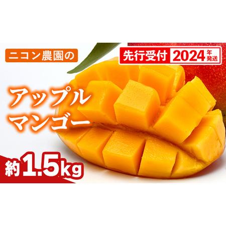 ふるさと納税 ニコン農園のアップルマンゴー約1.5kg 沖縄県八重瀬町