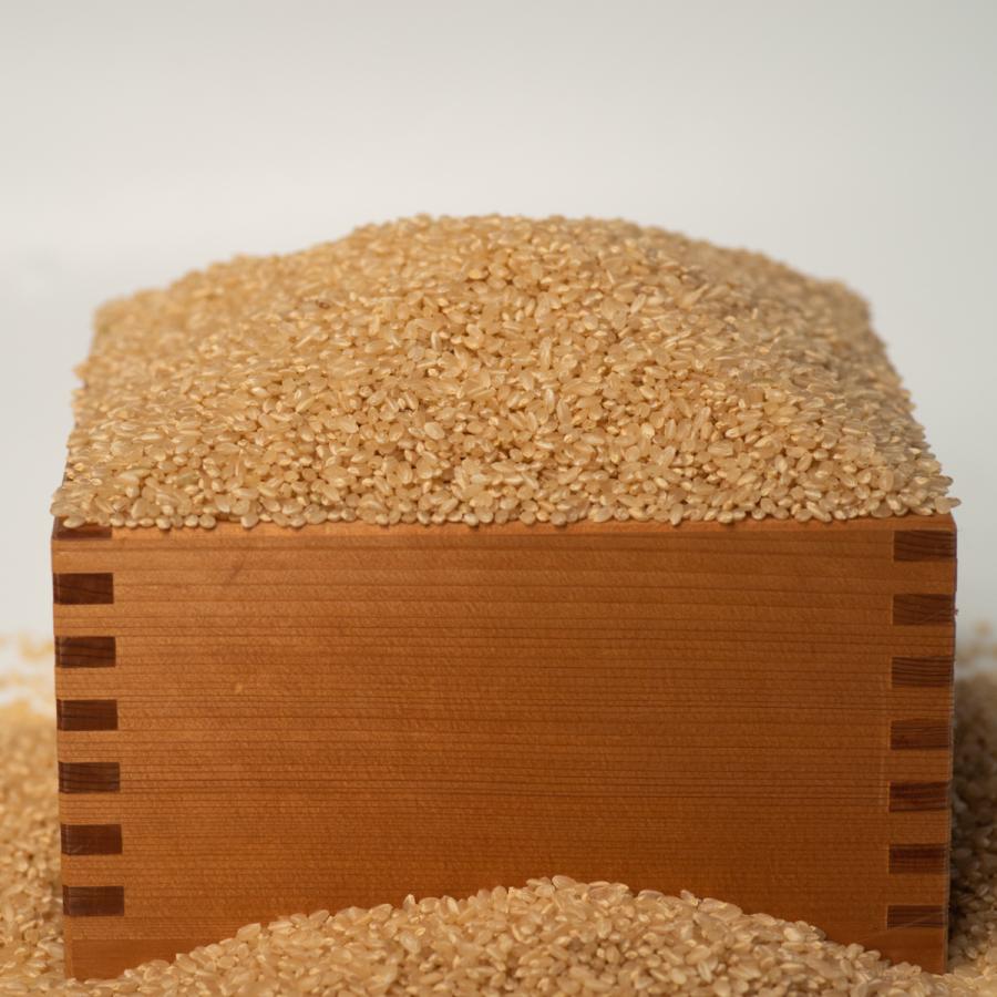 玄米 農薬不使用 化学肥料不使用 1kg （30kgまで梱包可）