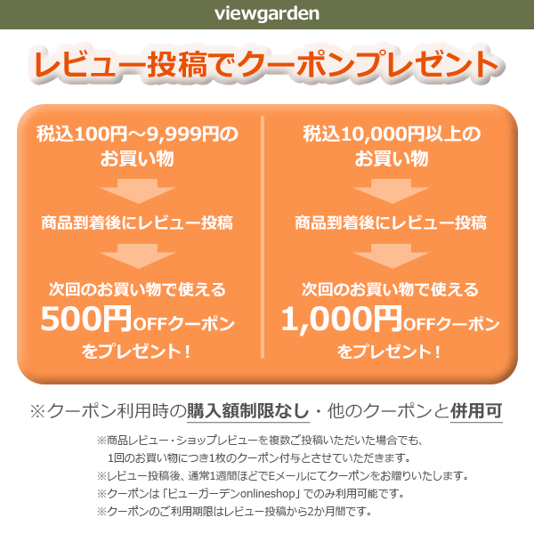 干し 乾燥 しいたけ 椎茸 まいたけ 舞茸 きのこ お試セット スライス メール便 送料無料 国産 岩手県 薮川 産 まほら岩手 原木 栽培 お得 保存食 備蓄 おすすめ