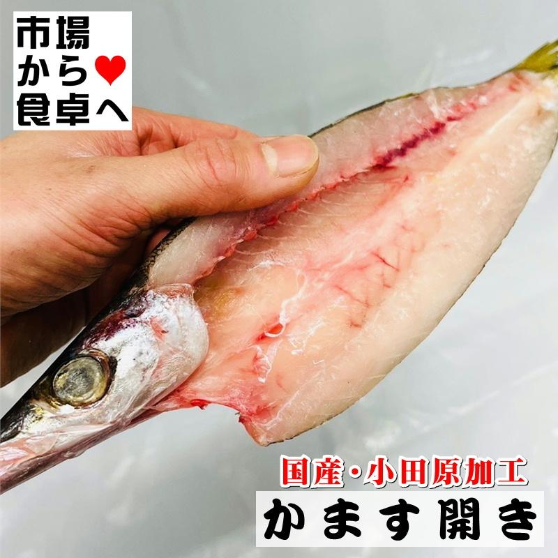 かます干物 10枚(1枚約110g)こだわりの手開き、地元でも愛され長く干物づくりを行っています