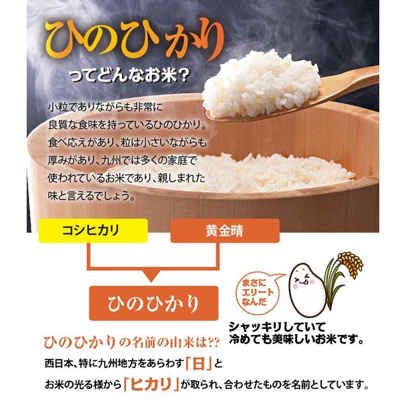 米 新米 送料無料 ひのひかり 令和5年産 熊本県産  5kg x 2袋 計10kg