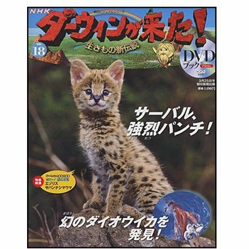 Nhkダーウィンが来た ｄｖｄブック 18号 サーバル ダイオウイカ 通販 Lineポイント最大0 5 Get Lineショッピング