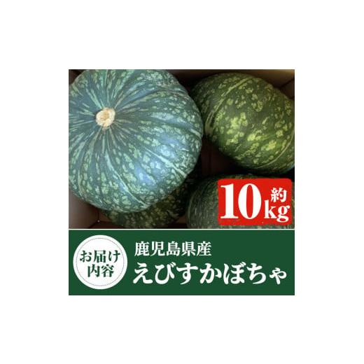 ふるさと納税 鹿児島県 阿久根市 ＜先行予約受付中！2024年5月より順次発送＞鹿児島県産 えびすかぼちゃ(約10kg) 国産 野菜 かぼちゃ カボチャ 南瓜 煮物 天ぷ…