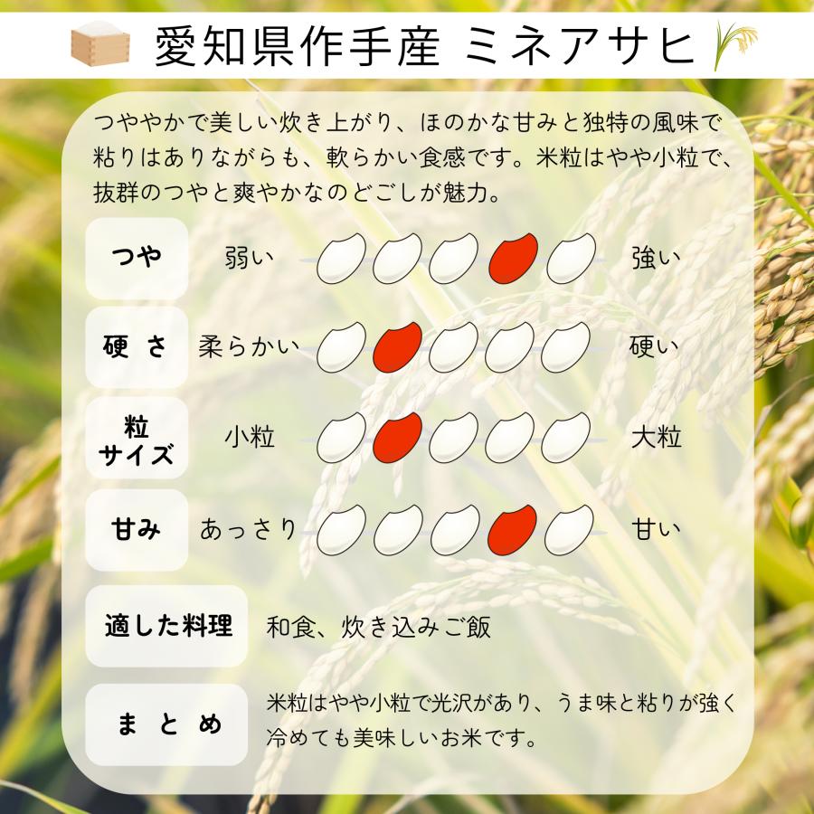 米 お米 10kg 愛知県産 ミネアサヒ 白米 10キロ 令和5年産 5kgx2袋 精米 送料無料