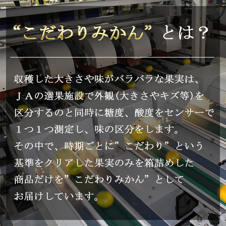 熊本県産みかん  こだわり早生 みかん　※11 1〜配送予定