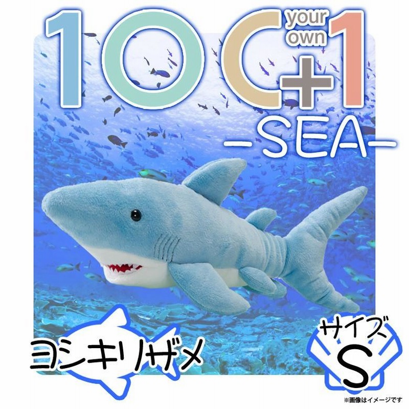 狩りをする生き物たち ライオンからサメ、クモまで (楽しい調べ