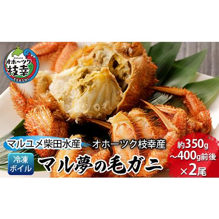 ふるさと納税 マル夢の毛ガニ約350g〜400g前後×2尾オホーツク枝幸産 北海道枝幸町