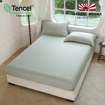 【5尺雙人-天絲™60支100%萊賽爾-日本銀纖維~三件式床包枕套組】