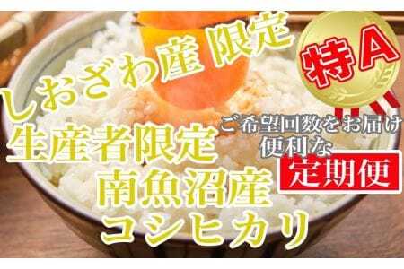 しおざわ産限定 生産者限定 南魚沼産コシヒカリ