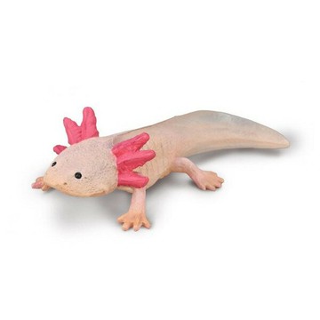 《 COLLECTA 》 動物模型 蠑螈