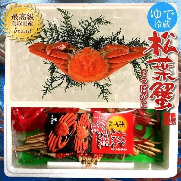 松葉ガニ タグ付き 松葉蟹［特大］800g ゆで蟹 ボイルまつばがに 新物 鳥取県産 浜茹で マツバガニ 日本海ズワイガニ［お歳暮 2023 ギフト 御歳暮］