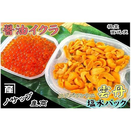 ふるさと納税 エゾバフンウニ塩水パック80〜90g×1P、醤油いくら80g×2P F-59010 北海道根室市