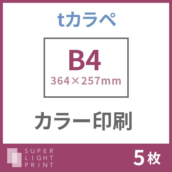 tカラペ カラー印刷 A5サイズ