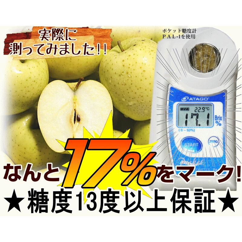 あすつく 青森 りんご 5kg箱 王林 送料無料 家庭用 訳あり 青森 リンゴ 訳あり 5キロ箱★王林 家訳 5kg箱