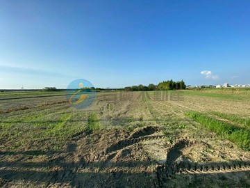 安定蘇安段1.1分美農地｜台南市安定區蘇安段