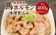 熊本肥育 馬ホルモン 味噌煮込み 約200g入り×2パック