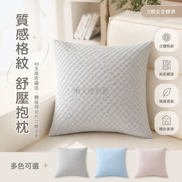 台灣出貨✨ 冰絲涼感枕套 豆豆紋靠枕套 辦公室沙發靠墊 四季透氣床品套 45x50cm 不含芯