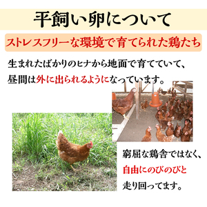 ＜アスカ有機農園＞旬の京野菜セットL（平飼い卵付）＊毎月お届け全4回≪定期便 ふるさと納税野菜 たまご≫