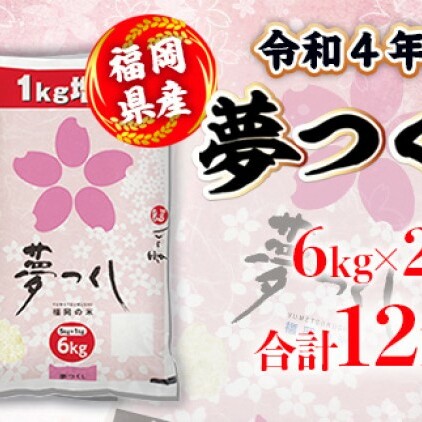 米 12kg 令和5年産 夢つくし 福岡県産 お米