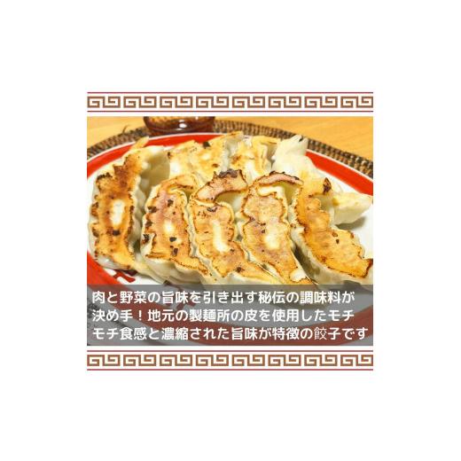 ふるさと納税 新潟県 南魚沼市 餃子 ぎょうざ 野菜餃子 手作り餃子 1袋(350ｇ／12個入) 4袋 計48個(1.4kg) 国産 冷凍 惣菜 手作り 新潟県 南魚沼市 コメトハナ…