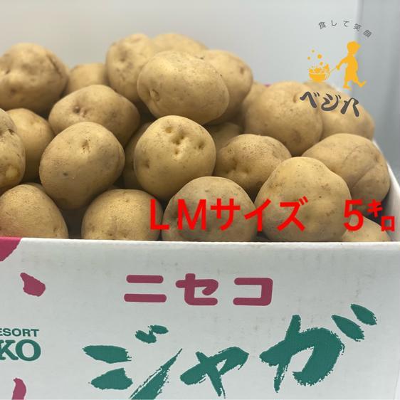 野菜 じゃがいも (3)キタアカリ ＬＭサイズ 5キロ じゃがいも 北海道 産地直送