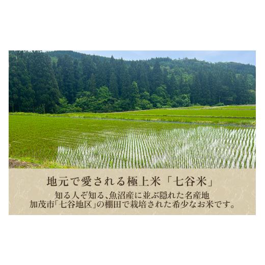 ふるさと納税 新潟県 加茂市 新潟県加茂市 七谷産 棚田米コシヒカリ 精米10kg（5kg×2）白米 加茂有機米生産組合