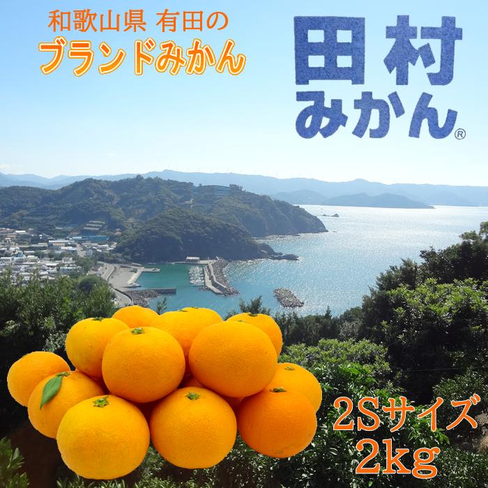 田村みかん ２Sサイズ ２kg  和歌山県有田産 早生みかん お歳暮 ギフト 湯浅町