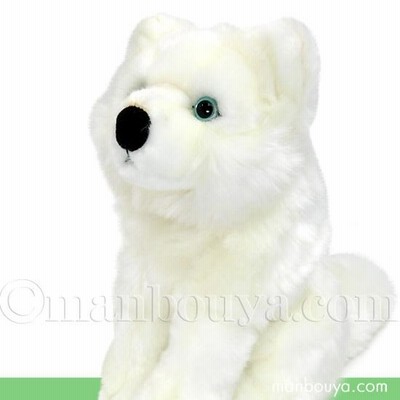 国内作家様　オオカミぬいぐるみ　狼　23㎝　Mori`s Bear　森脇様 オオカミぬいぐるみ 狼 キュート販売 CUTE シンリンオオカミ