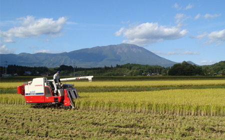 ＜定期便３ヶ月＞雫石町産「あきたこまち」玄米10kg  米 あきたこまち定期便 秋田こまち 10キロ