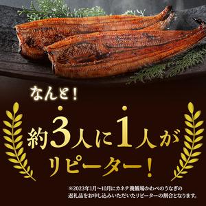 ふるさと納税 うなぎ 浜名湖 蒲焼 150g×10匹 かわべ 国産 ウナギ 鰻 浜名湖うなぎ たれ セット 蒲焼き 真空パック 惣菜 おかず ごはんのお.. 静岡県湖西市