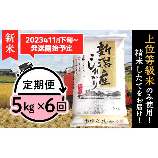 ふるさと納税 新潟県 胎内市 K56新潟県産コシヒカリ5kg