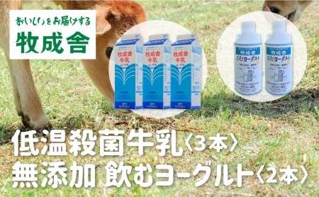 牧成舎 低温殺菌牛乳 3本 無添加 飲むヨーグルト 2本 飛騨産生乳100%使用 [A0104]