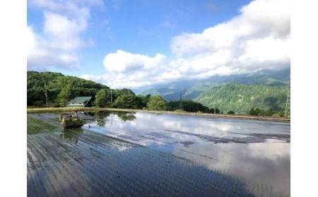 長野県小谷村百姓七人衆のゆめしなの　10kg