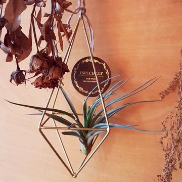 金屬幾何空鳳吊飾【Geometrical and metal hanging pot】