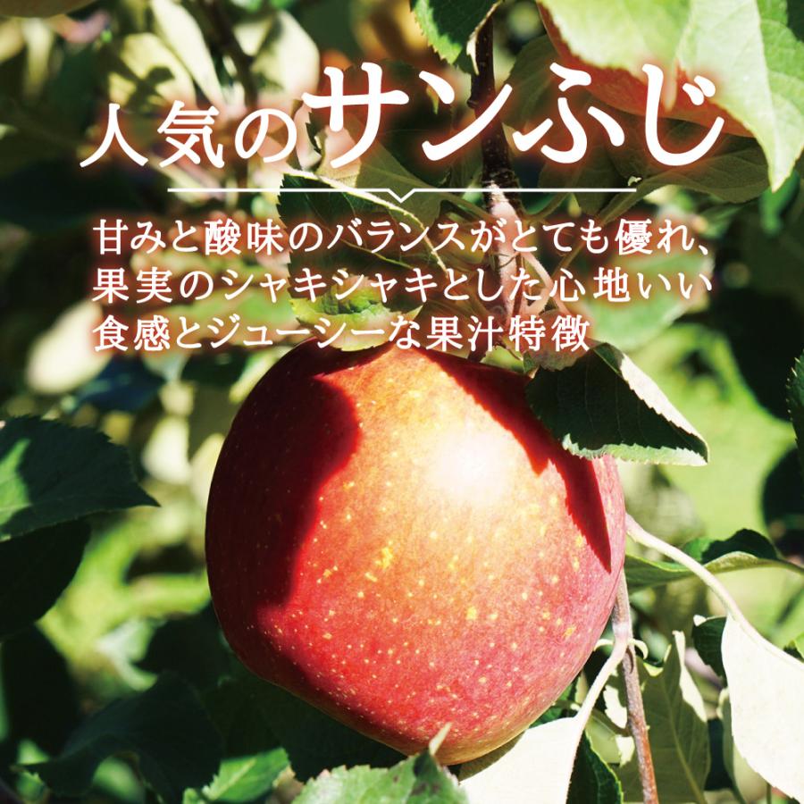 訳あり りんご サンふじ 宮城県産 ご自宅用 10kg（22〜36玉）｜ 国産 宮城 林檎