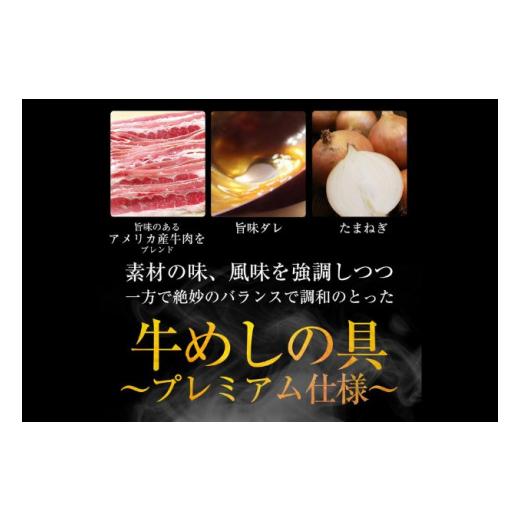 ふるさと納税 埼玉県 嵐山町 牛丼 松屋 プレミアム仕様 牛めしの具 20個 冷凍 セット　