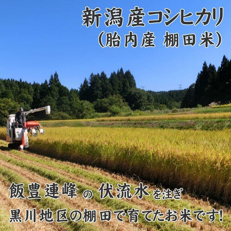 胎内市黒川地区胎内高原の棚田米 新潟産コシヒカリ 15kg 令和4年産 新米