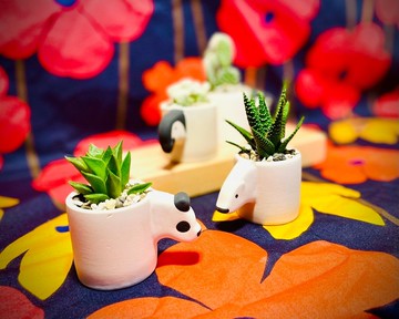 【新年首選限定】動物園系列_日本設計師合作_多肉植栽擴香_禮盒