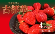 平群町産 古都華 2L ～ 3L サイズ 2ケース（4パック） 2024年2月発送