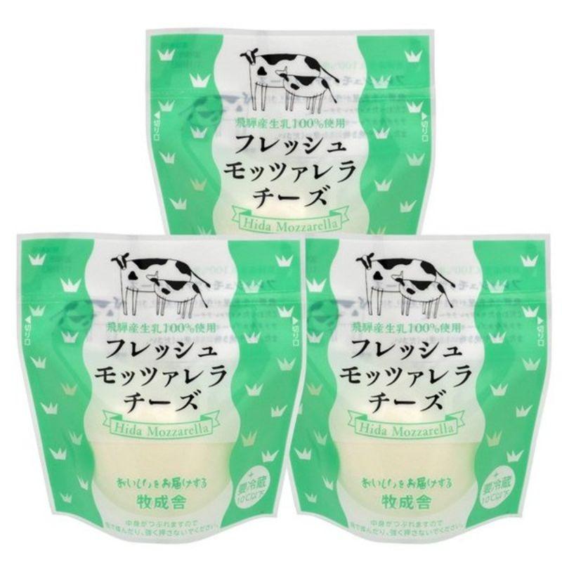 フレッシュ  モッツァレラ チーズ 100ｇ× 3袋 牧成舎 ぼくせいしゃ 飛騨産 生乳100% 使用 飛騨 古川 日本酒 酒 ワイン おつまみ