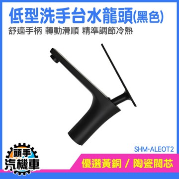 洗手台水龍頭 水龍頭 小龍頭 檯面龍頭 洗手盆 龍頭 單槍龍頭 單槍水龍頭 立式龍頭 SHM-ALEOT2