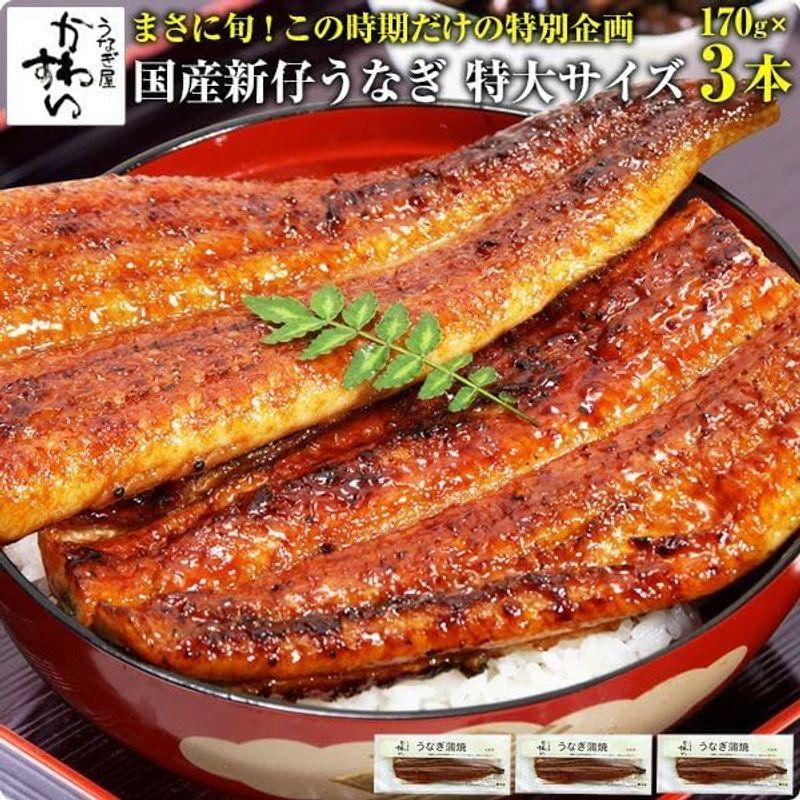 うなぎ屋かわすい 特大国産 うなぎ 蒲焼き（170g）3尾セット（タレ付き 山椒別売り) 川口水産