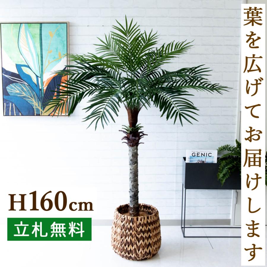 ☆北海道内限定☆ 人工観葉植物 中央フェニックス3.3m-