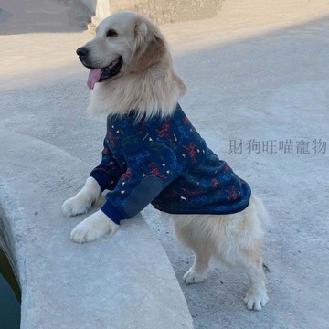 💕在臺出貨🔥大狗護肘純棉衛衣防磨保暖舒適金毛拉布拉多中大型犬寵物兩腳衣服