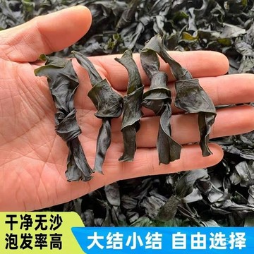 【限時下殺】13倍泡髮厚海帶結幹貨涼拌免洗無鹽加厚型煲湯純特級幹海帶結串串