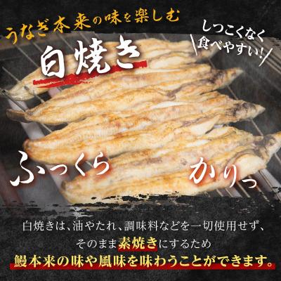 ふるさと納税 大崎町 鹿児島県産うなぎカット白焼き6袋 計300g以上(パック個包装)