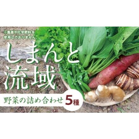 ふるさと納税 しまんと流域野菜つめあわせ（5種類）／Fkh-A07 高知県四万十町